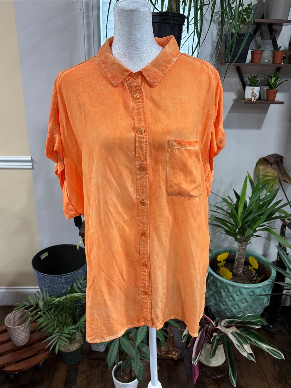 Velvet Heart Vibrant Orange Button Up Short Sleeve Shirt size XL - Picture 2 of 5